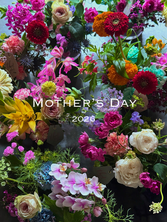 アコルのMother's Day arrangement【S】＜5/11(月)〜5/31(日)までのお届け＞